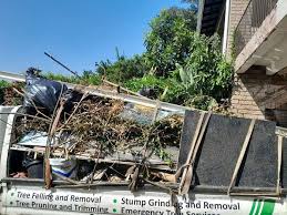 Professional Junk Removal in Cecil Bishop, PA